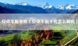 安卓平板手机（安卓平板手机怎么刷机）