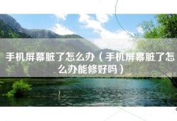 手机屏幕脏了怎么办（手机屏幕脏了怎么办能修好吗）