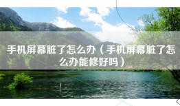 手机屏幕脏了怎么办（手机屏幕脏了怎么办能修好吗）
