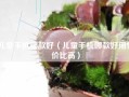 儿童手机哪款好（儿童手机哪款好用性价比高）
