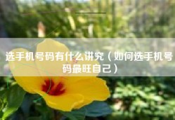 选手机号码有什么讲究（如何选手机号码最旺自己）