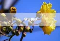 今日快讯
