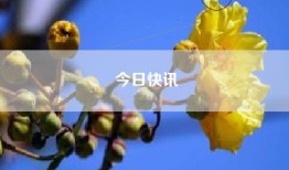 今日快讯