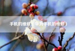 手机的维修（华为手机的维修）