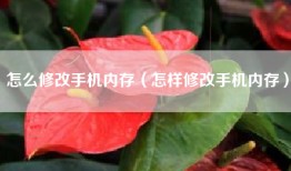 怎么修改手机内存（怎样修改手机内存）