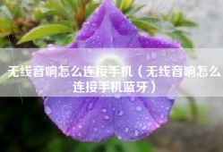 无线音响怎么连接手机（无线音响怎么连接手机蓝牙）