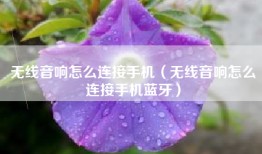 无线音响怎么连接手机（无线音响怎么连接手机蓝牙）