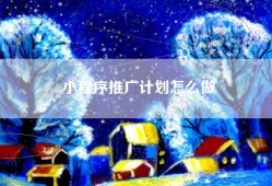 小程序推广计划怎么做