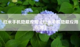 红米手机隐藏应用（红米手机隐藏应用在哪）