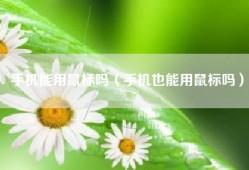手机能用鼠标吗（手机也能用鼠标吗）