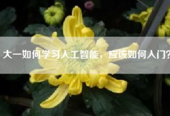 大一如何学习人工智能，应该如何入门？