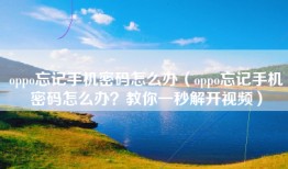 oppo忘记手机密码怎么办（oppo忘记手机密码怎么办？教你一秒解开视频）