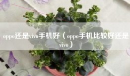 oppo还是vivo手机好（oppo手机比较好还是vivo）