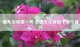 捶丸京城第一秀 非遗文化穿越千年今复兴