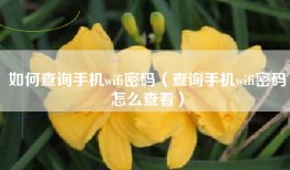 如何查询手机wifi密码（查询手机wifi密码怎么查看）