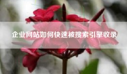 企业网站如何快速被搜索引擎收录