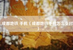 成都地铁 手机（成都地铁手机怎么支付）