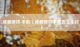 成都地铁 手机（成都地铁手机怎么支付）