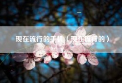 现在流行的手机（现在流行的）