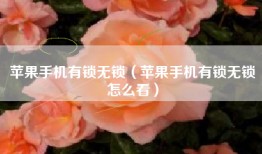 苹果手机有锁无锁（苹果手机有锁无锁怎么看）