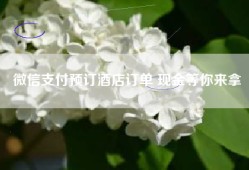 微信支付预订酒店订单 现金等你来拿