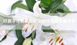 以数字化转型促进实体经济高质量发展