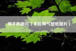 帅手机图片（手机帅气壁纸图片）