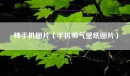 帅手机图片（手机帅气壁纸图片）