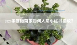 2024零基础商家如何入局小红书投放？