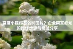 百度小程序怎么发图片？企业商家必知的操作步骤与经验分享