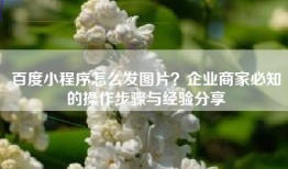 百度小程序怎么发图片？企业商家必知的操作步骤与经验分享