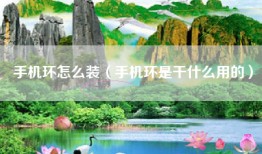 手机环怎么装（手机环是干什么用的）