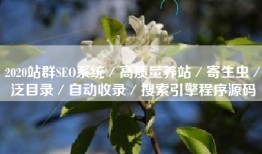 2020站群SEO系统／高质量养站／寄生虫／泛目录／自动收录／搜索引擎程序源码