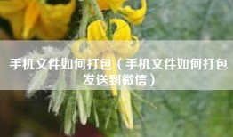 手机文件如何打包（手机文件如何打包发送到微信）