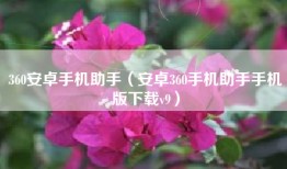 360安卓手机助手（安卓360手机助手手机版下载v9）