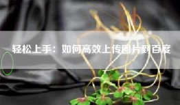 轻松上手：如何高效上传图片到百度