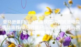 亚马逊僵尸listing采集软件erp做跨境电商选品流程(亚马逊僵尸listing采集软件erp跨境电商该如何选品)
