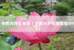 手机内存在哪里（手机内存在哪里看OPPO）