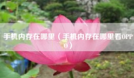 手机内存在哪里（手机内存在哪里看OPPO）