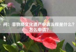 问：非物质文化遗产申请流程是什么？怎么申请？