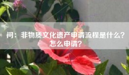 问：非物质文化遗产申请流程是什么？怎么申请？
