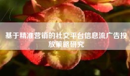 基于精准营销的社交平台信息流广告投放策略研究