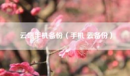 云端手机备份(手机 云备份)