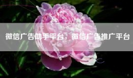 微信广告助手平台，微信广告推广平台