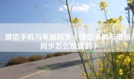 微信手机与电脑同步（微信手机与电脑同步怎么设置的）