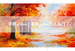 手机python（手机python怎么运行）