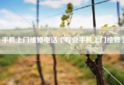 手机上门维修电话（专业手机上门维修）