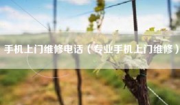 手机上门维修电话（专业手机上门维修）