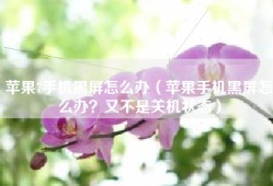 苹果7手机黑屏怎么办（苹果手机黑屏怎么办？又不是关机状态）