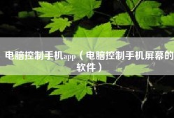 电脑控制手机app（电脑控制手机屏幕的软件）